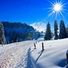 Народные приметы о зиме